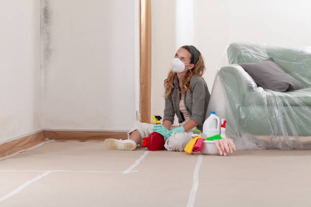 Reliable Hvac And Air Duct Mold Remediation contractor in Morristown, TN by 24 Hour Mold Removal